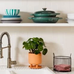 Le Creuset 3.5 Qt. Signature Braiser With Stainless Steel Knob | Artichaut -Cooking Master art