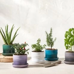 Le Creuset 5.5" Herb Planter | White -Cooking Master rs15992 herbpots scr