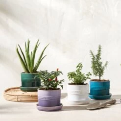 Le Creuset 5.5" Herb Planter | Provence -Cooking Master rs15992 herbpots scr 1