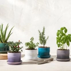 Le Creuset 5.5" Herb Planter | Deep Teal -Cooking Master rs15992 herbpots scr 3