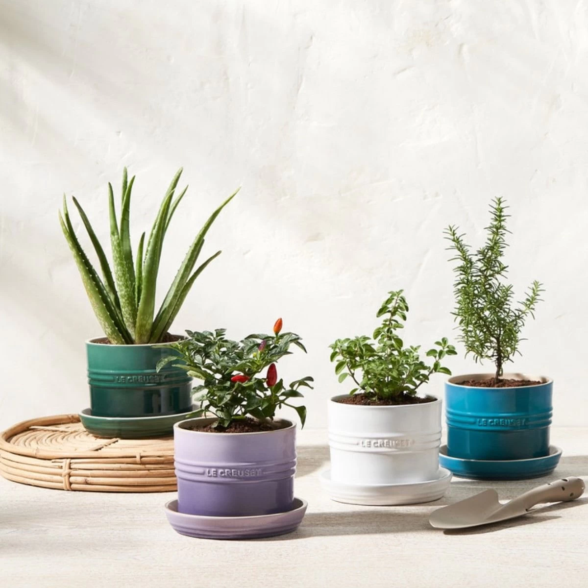 Le Creuset 5.5" Herb Planter | Artichaut 4 Le Creuset 5.5" Herb Planter | Artichaut - Image 4